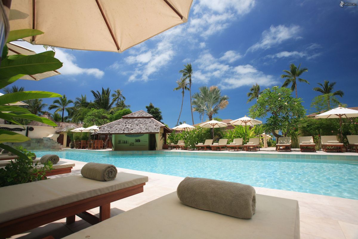Tropical pool bordered by loungers, umbrellas and palm trees